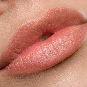 Lip Juice - Hydrating and Plumping Tinted Lip Balm with Plant Ceramides & Lipids