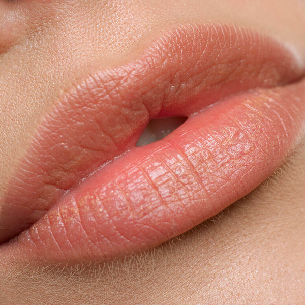 Lip Juice - Hydrating and Plumping Tinted Lip Balm with Plant Ceramides & Lipids