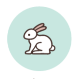 Cruelty Free